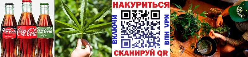 omg   Старица  Печенье с ТГК конопля 