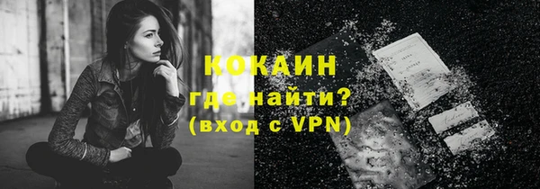 мет Бородино
