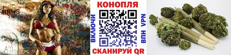 Бошки Шишки сатива  даркнет сайт  Старица 